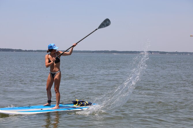 Stand Up Paddleboard Rentals in Ocean City, MD - What the Bayside Route Gives You