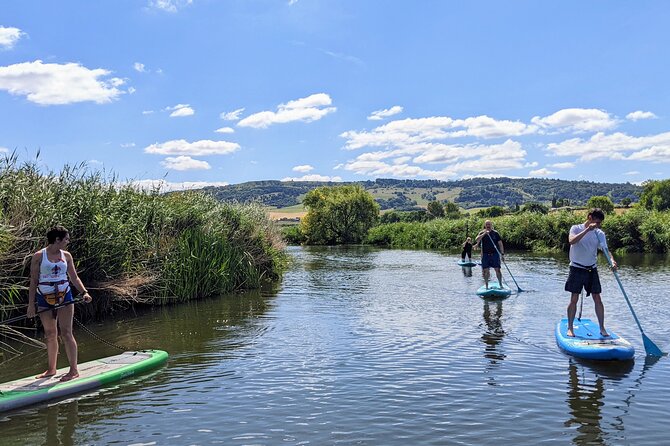 Stand-up Paddleboard SUP Safari on The River Avon For Beginners - Taking the new skills onto the River Avon
