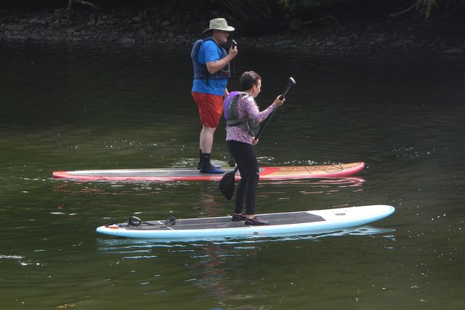 Stand Up Paddleboard Tour with Complimentary Oyster Tasting - Learning to paddle before you reach the bay