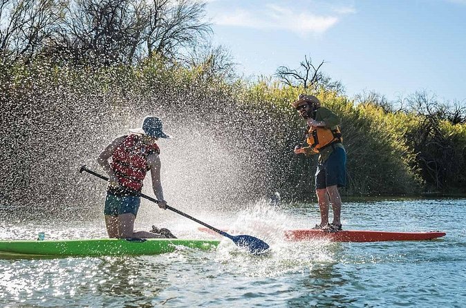 Stand Up Paddleboarding in Phoenix - Wildlife, Birds, and the Pace of the Paddle