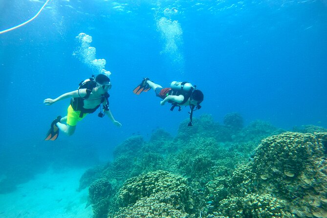 StandUp PaddleBoard Lesson and Experience Scuba Diving Package! - Learning to Stand Up on a Paddleboard