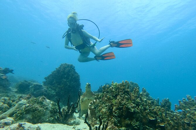 StandUp PaddleBoard Lesson and Experience Scuba Diving Package! - Guam’s Coral Reefs Below the Surface