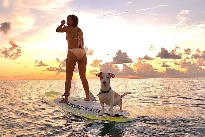 Sunrise Paddle Surf - Why the 6:00 am start is worth considering