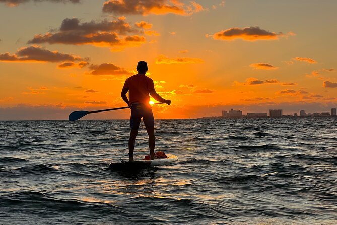 Sunrise Stand Up Paddle activity on a privileged beach. - Watching for marine life along the way