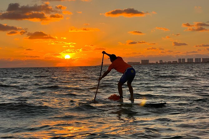 Sunrise Stand Up Paddle activity on a privileged beach. - The real value of $49.50