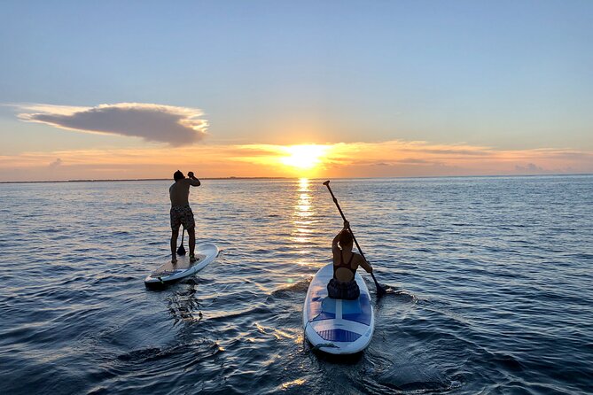 Sunrise Stand Up Paddle activity on a privileged beach. - Who should book this sunrise paddle