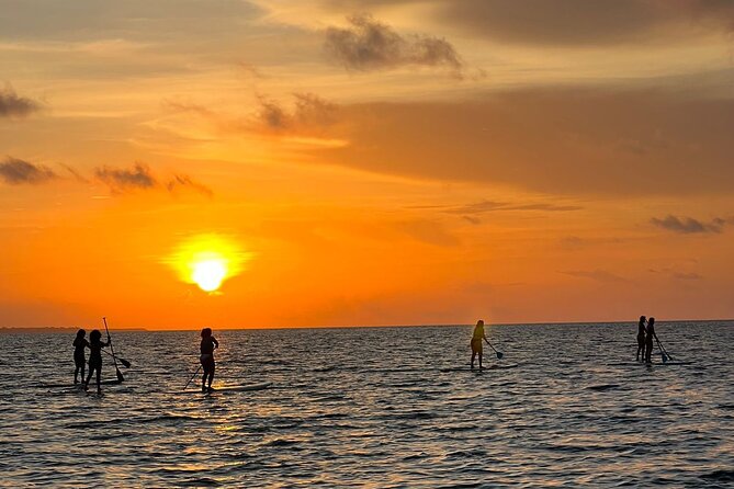 Sunrise Stand Up Paddle activity on a privileged beach. - Sunrise views toward Cancun and Isla Mujeres