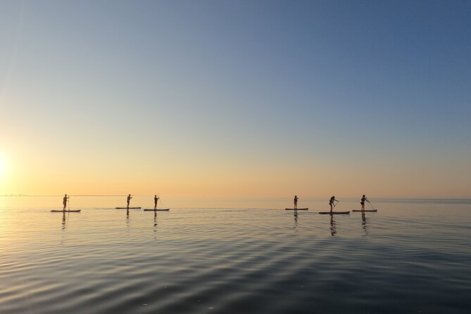 Sunrise SUP Caves Tour in Lagos – Small Group Experience - How beginner-friendly is this SUP tour?