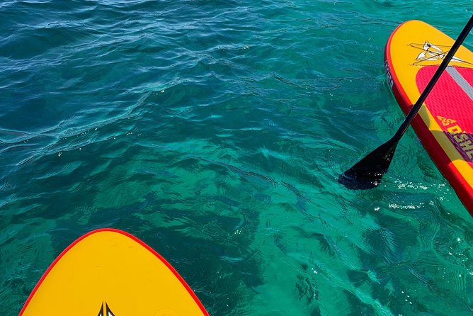 Sunrise SUP tour & breakfast - Private stand up paddle boarding experience - Who will enjoy this most