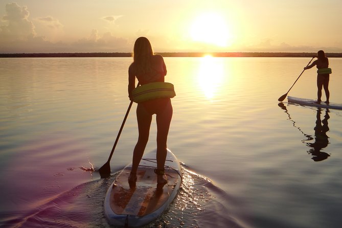 Sunrise Tour (Stand Up Paddle or Kayak) - Group size, language, and the feel of the outing