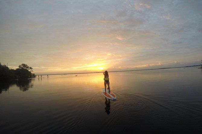 Sunrise Tour (Stand Up Paddle or Kayak) - Following the lagoon toward Pirate Channel