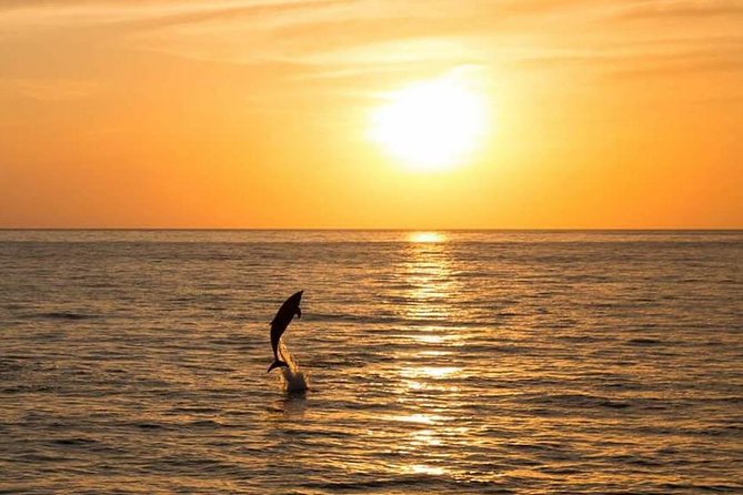 Sunset Beach Hopping Cruise, Cala Comte and Cala Bassa, SUP and snorkelling - Food and drinks: useful value, not a full restaurant meal