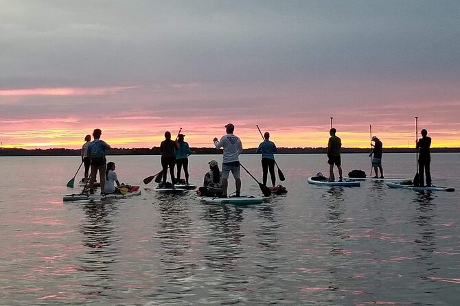 Sunset Clear Kayak or Paddleboard in Orlando - Sunset colors, birds, and Orlando lights