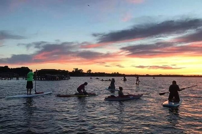 Sunset Clear Kayak or Paddleboard in Orlando - A friendly choice for children, beginners, and dogs