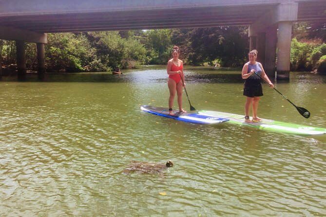 Sunset Stand Up Paddle with Photos and Turtles - Paddling up the Anahulu River