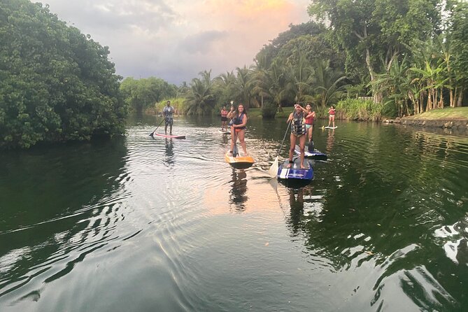 Sunset Stand Up Paddle with Photos and Turtles - Photos without carrying your phone