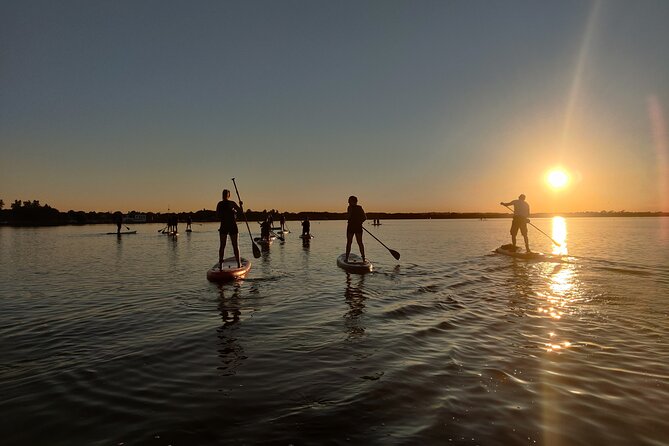 Sunset SUP experience in Malahide, Dublin - Meeting Alex at Malahide Yacht Club