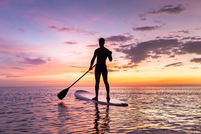 Sunset SUP Tour in Marbella - The Included Gear and Facilities