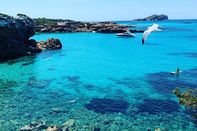 SUP Adventure Ibiza (stand up paddle & snorkeling) VIP TOUR - Price and practical value at $106.65