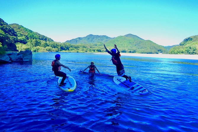 SUP downriver tour at Niyodo river - What the two-and-a-half-hour outing includes