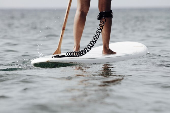 Sup Experiences in the ocean - Is $95.31 a fair price?