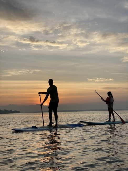 SUP in Kochi: Sunrise Stand-Up Paddleboarding Tour - Key points to know before you book