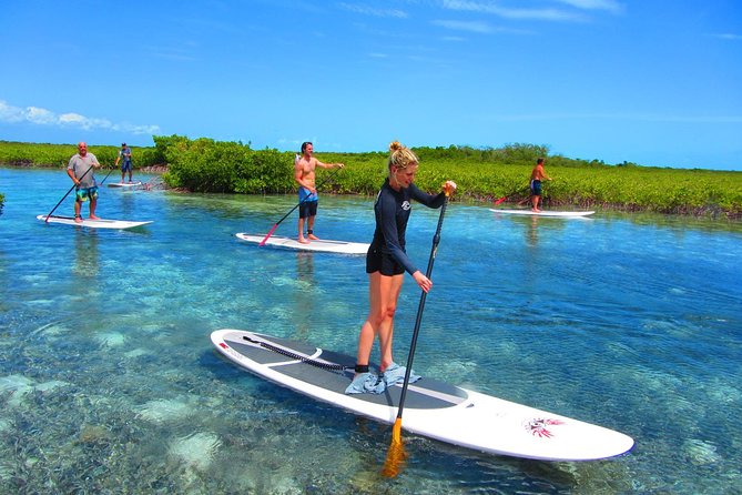 SUP Paddleboard Lesson and Tour - Port Canaveral & Cocoa Beach - Key points to know before booking