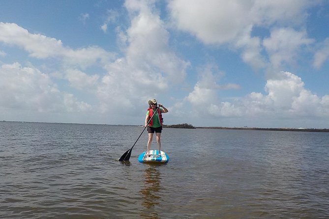 SUP Paddleboard Lesson and Tour - Port Canaveral & Cocoa Beach - Dolphins, manatees, and the value of going slowly