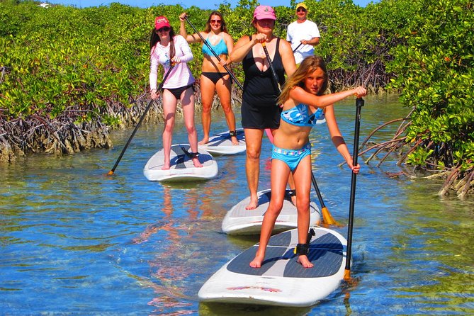 SUP Paddleboard Lesson and Tour - Port Canaveral & Cocoa Beach - A good choice after a cruise or beach morning