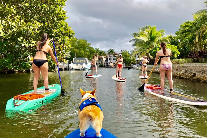 SUP PUP Paddleboard Tour - A friendly way to meet Fort Lauderdale from the water