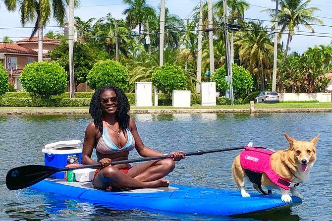 SUP PUP Paddleboard Tour - Photos, water, and useful small touches