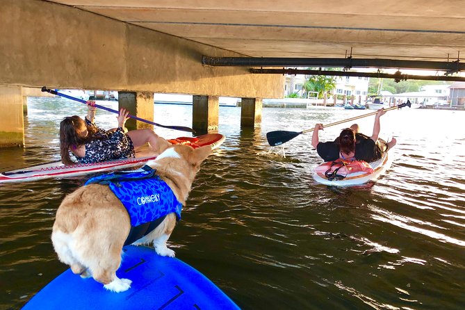 SUP PUP Paddleboard Tour - Who will enjoy this tour most