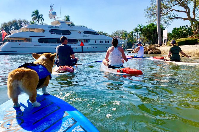 SUP PUP Paddleboard Tour - Paddling the Riverside canals