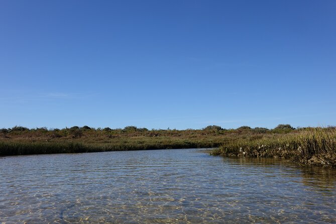 SUP Rental with Access to Natural Park of Ria Formosa's Islands - Paddling through Ria Formosa at your own pace