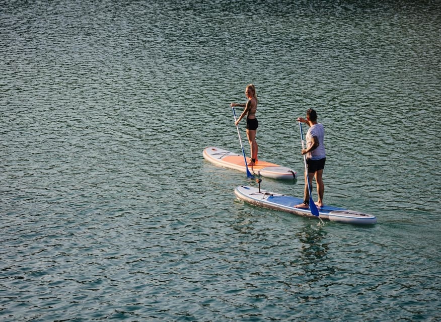 SUP Safari - Catamaran Cruise Dia Island & Gourmet Delights! - What the guided SUP session is really like