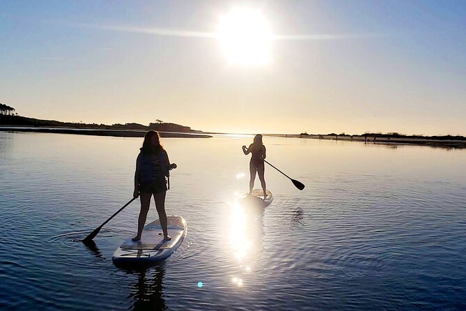 SUP (stand-up paddboard) Salt Marsh Maze Tour - Who Will Enjoy This Tour Most?
