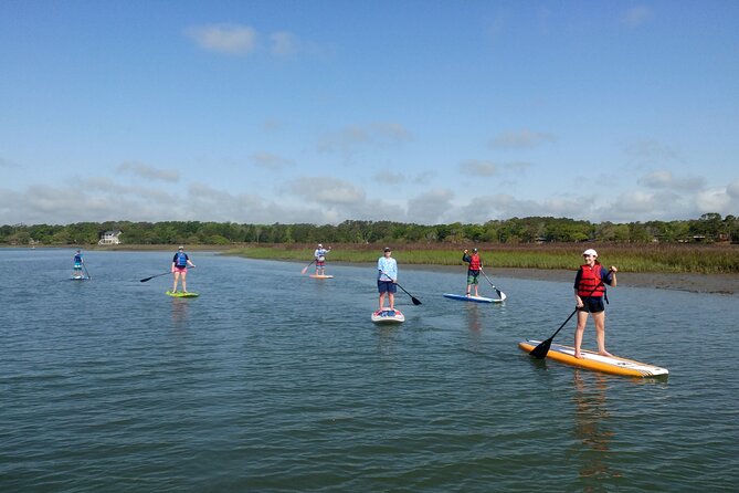 SUP (stand-up paddboard) Salt Marsh Maze Tour - Following the Marsh Maze Toward Waites Island