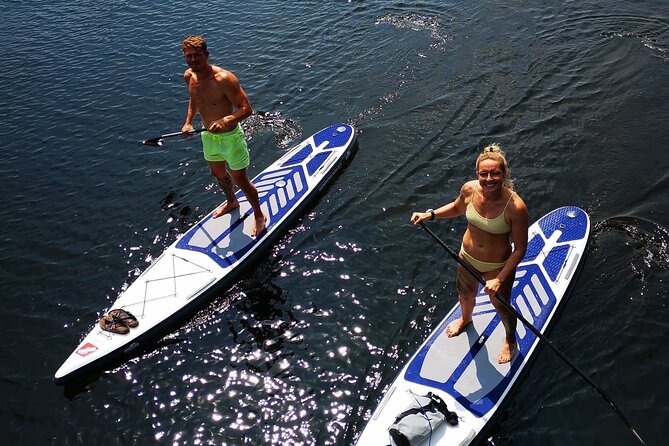 SUP Stand Up Paddle Tour in Berlin with Guide - Arriving at Eiswerder Island