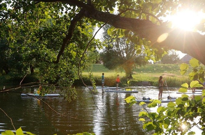 SUP Stand Up Paddle Tour in Berlin with Guide - Paddling around Eiswerder Island