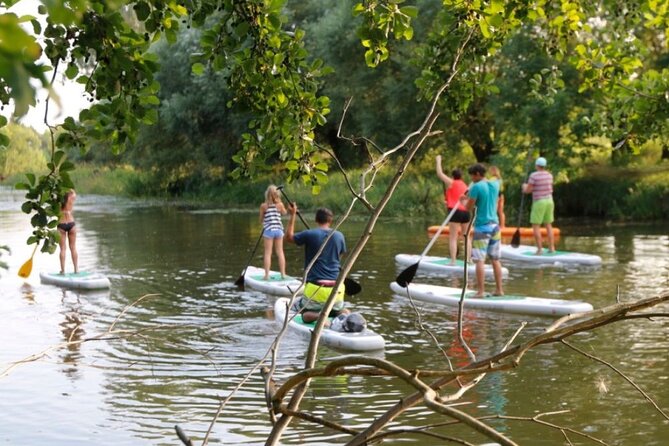 SUP Stand Up Paddle Tour in Berlin with Guide - Returning to the paddle center