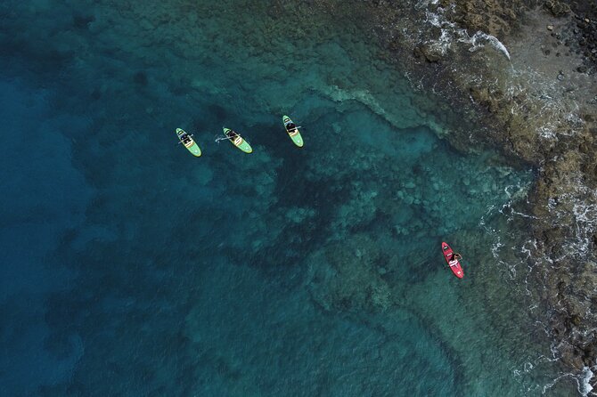 SUP Standup Paddling and Snorkeling Shared Experience - The guides and the value of direct instruction