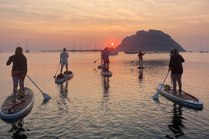 SUP Tour Experience Sunrise or Sunset breakfast or aperitif Olbia - Wildlife, swimming, and photographs