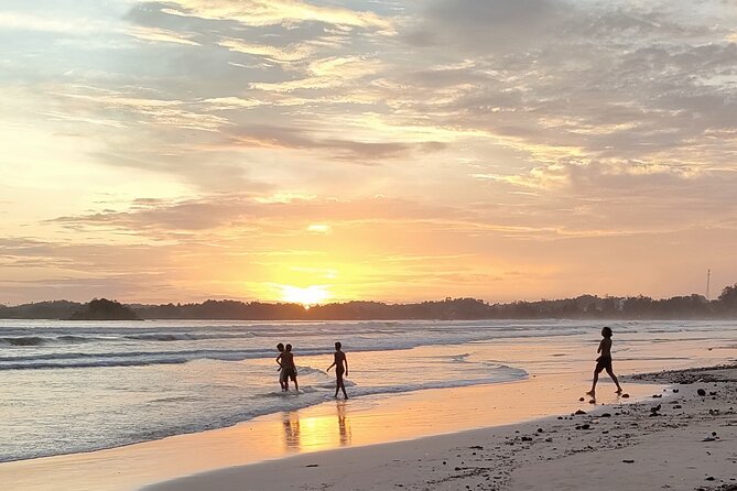 Surf Camp in Weligama Beach Sri Lanka - What a lesson is likely to feel like