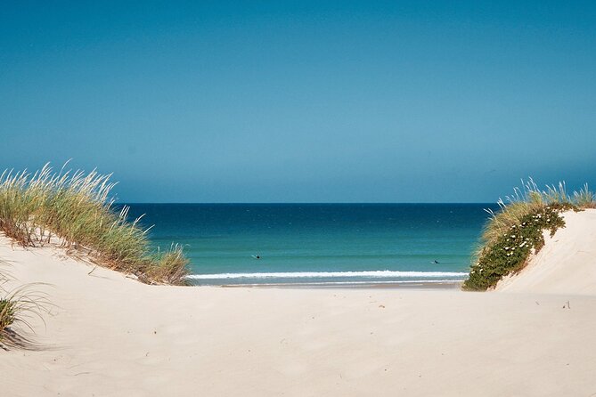 Surf Courses In Peniche and Baleal Portugal - Key points to know before you book