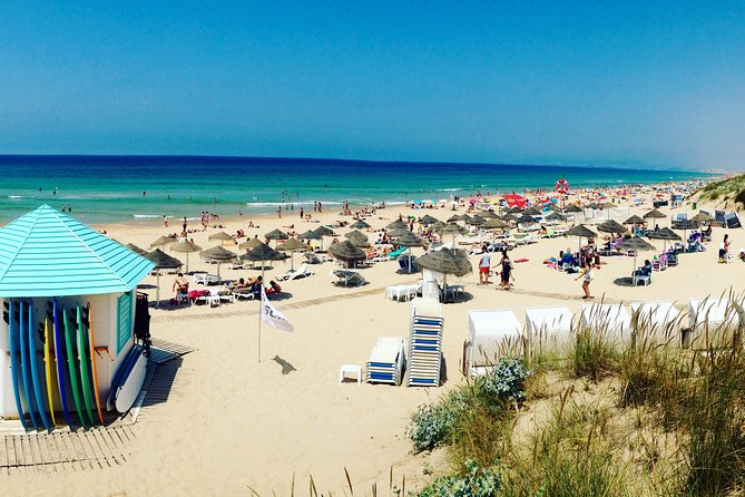 Surf & Friends - Costa da Caparica - What beginners should expect in the water