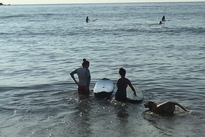 Surf Lesson for Beginners in Sayulita & Punta de Mita - Is the value right for you?