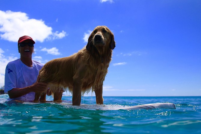 Surf Lessons on the North Shore of Oahu - A gentle first wave on Oahu’s North Shore
