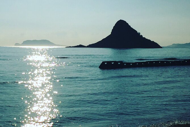 Surf or Kayak or Standup Paddle board in Lanikai, Kailua, Oahu - Timing, meeting point, and weather concerns