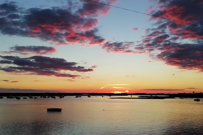 Surf & Sup - Ria Formosa birds, plants, and oyster beds