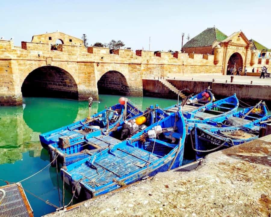 Surf Training and Lunch on Essaouira Day Trip from Marrakech - Lunch after the lesson
